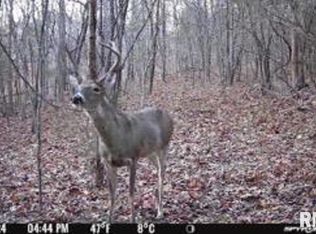 614 Bend Of River Rd, Cave In Rock, IL 62919