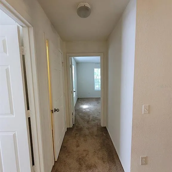 36106 Lake Chase Blvd #104 — Photo 29