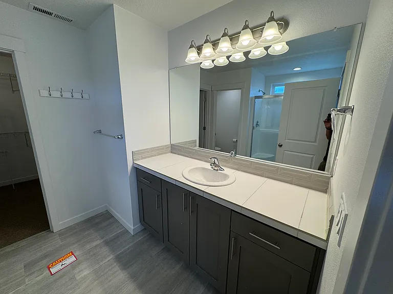 Matsers vanity and walk-in Closet