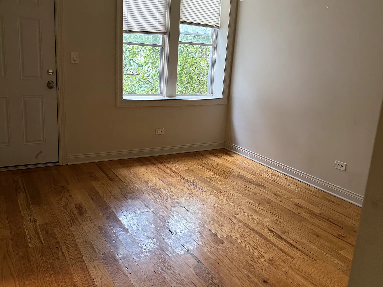 2 bed, $1,300 — Photo 3