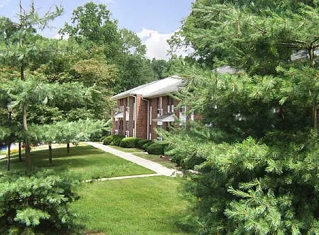 Wooded Setting