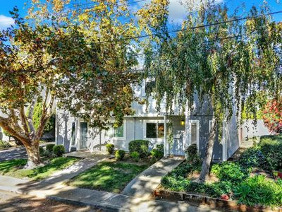 203 Arana Drive, Martinez, CA, 94553