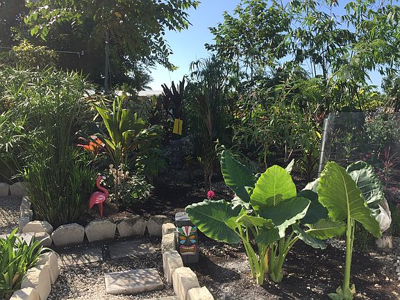 garden