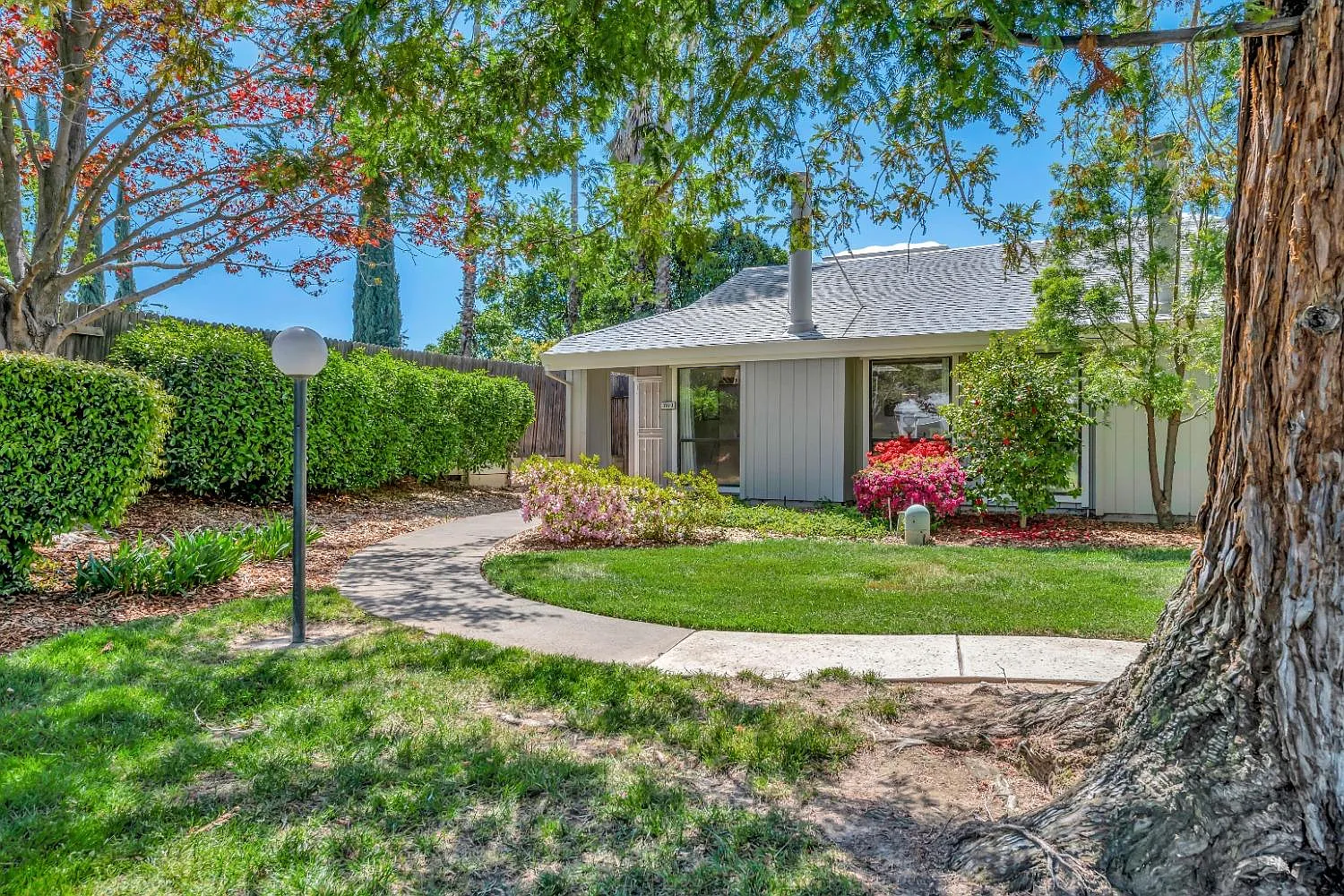 3709 Gold Creek Ln photo 1