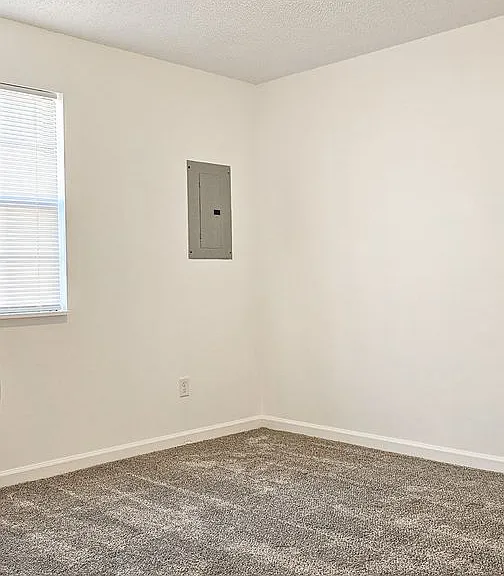 Beautifully updated 4 Bedroom/2 Bathroom downstairs apartment — Photo 18