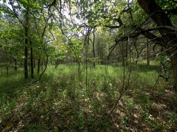 Tract 4 Simpson Rd, Urbana, MO 65767