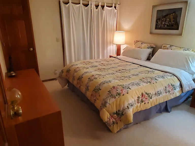 Master bedroom downstairs