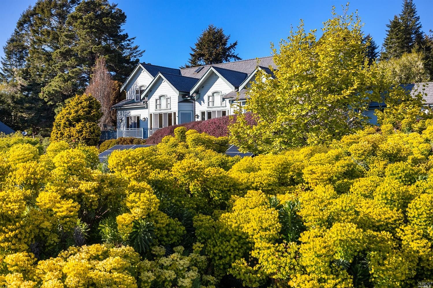44760 Rosewood Ter, Mendocino, CA 95460 Zillow