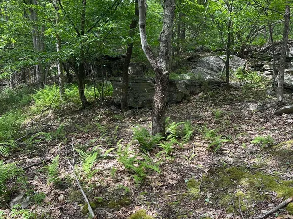 0 Route 40, East Jewett, NY 12424
