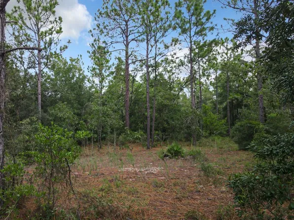 SW 100th St Lot 6, Ocala, FL 34481