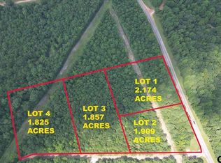 LOT 2 Cactus Rd, Pittsburg, TX 75686