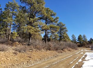 41 Cat Creek Overlook, Pagosa Springs, CO 81147