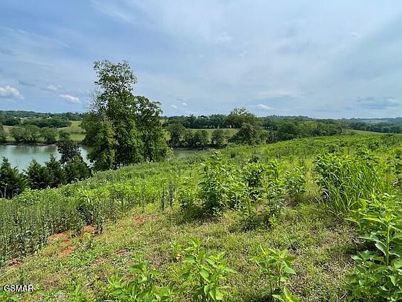 3rd image of LOT 12 Deep River Dr