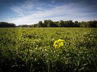 10617 W Timber Rd, Mapleton, IL 61547