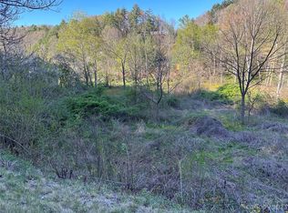 0 Amos Arrington Rd, Clyde, NC 28721