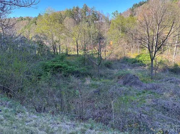 0 Amos Arrington Rd, Clyde, NC 28721