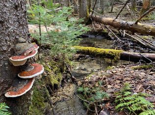 1993 Carter Rd, East Burke, VT 05832