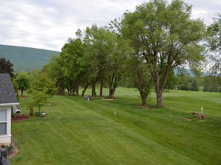 213 Pelham Dr — Photo 14
