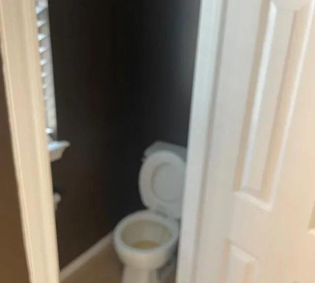 2219 Beacon Light Ln — Photo 13