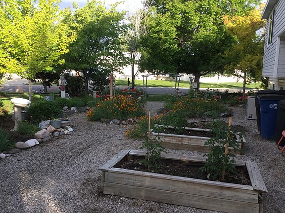 Great sun in veggie garden