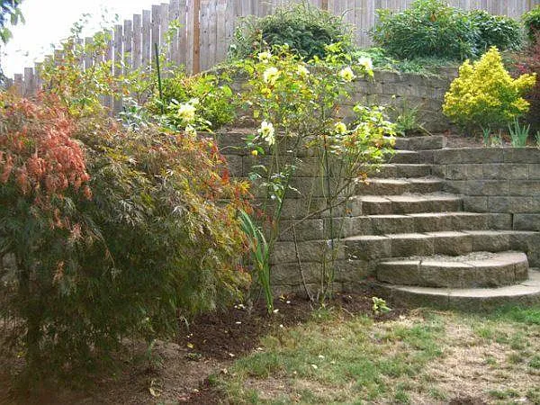 Backyard with lot of fruit trees