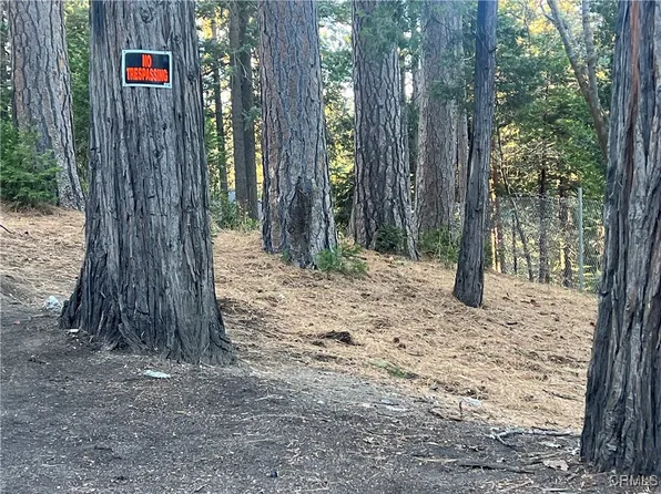 772 Sierra Vista Dr, Twin Peaks, CA 92391