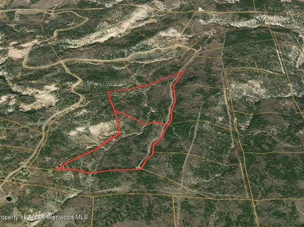 18975 Elk Reserve Rd, Glade Park, CO 81523