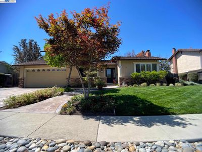 42971 Luzon Dr, Fremont, CA, 94539