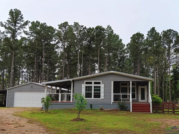 4289 Private Road 4324, Pittsburg, TX 75686