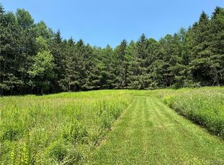 2 Bonney Hill Rd LOT 2, Hamilton, NY 13346