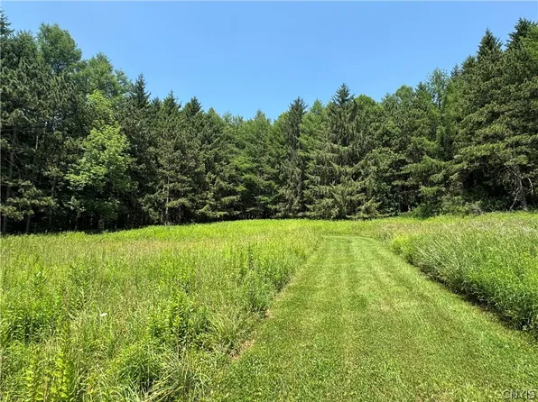 2 Bonney Hill Rd Lot 2, Hamilton, NY 13346