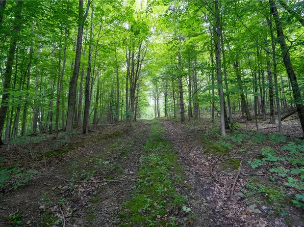 0 Partridge Corners Rd #33, Conesus, NY 14435