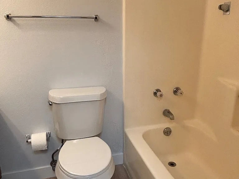 Master bath with tub