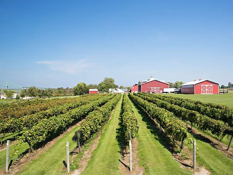 Thousand Islands Winery
