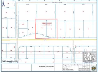 2693 W Norvell Bryant Hwy, Lecanto, FL 34461