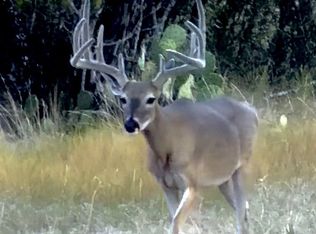County Road 121, Brownwood, TX 76801