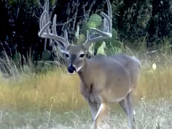 County Road 121, Brownwood, TX 76801