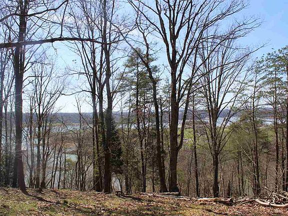 4th image of 841 Wilderness Dr