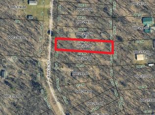 LOT 297 Apple St, Johannesburg, MI 49751