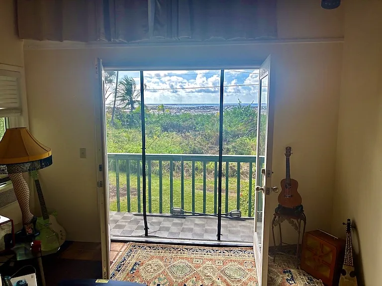 French Door with magnetic screen access to Lanai