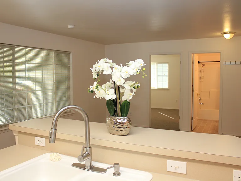 Kitchen to Living Room