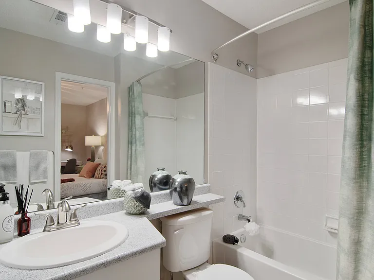 Bathroom View