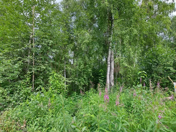 B3-L1 S Jefferson St, Talkeetna, AK 99676