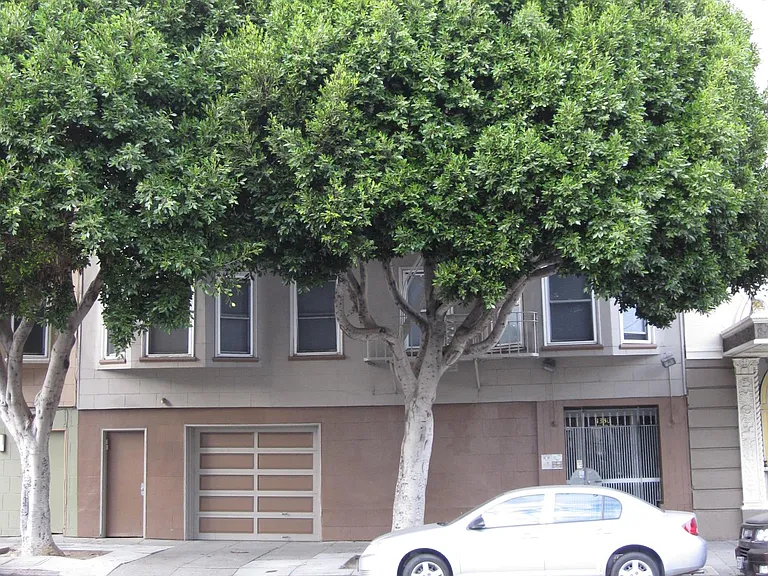1330 Turk St #309 — Photo 12