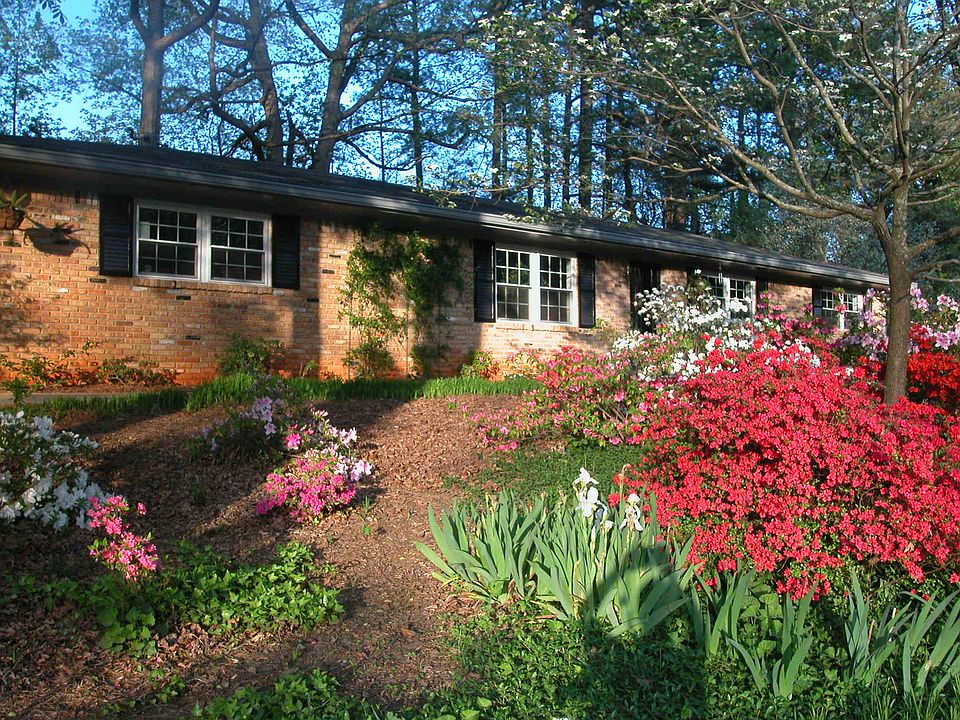 Front yard