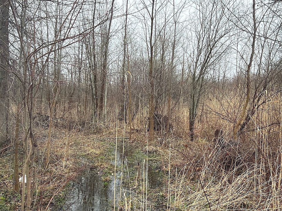 1st image of Ninevah Rd