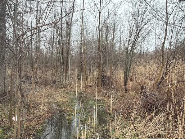 Ninevah Rd, Geneva, OH 44041