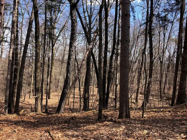 0 Presidential Dr #Lot 2, Kinderhook, NY 12106