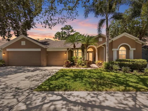 10212 Newington Pl, Tampa, FL 33626