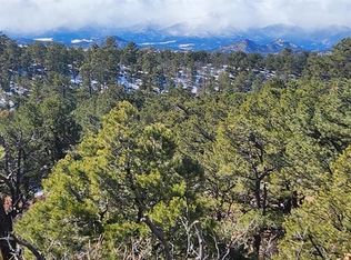 1113 43rd Trl, Cotopaxi, CO 81223